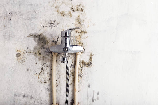 Best Office Mold Removal Services  in Lake Waccamaw, NC
