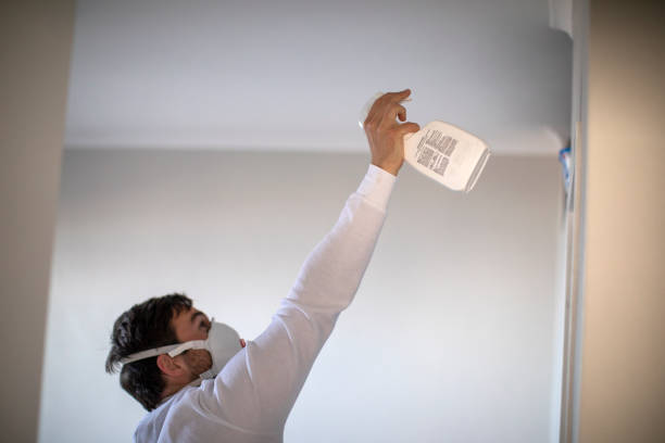 Best Affordable Mold Removal  in Lake Waccamaw, NC